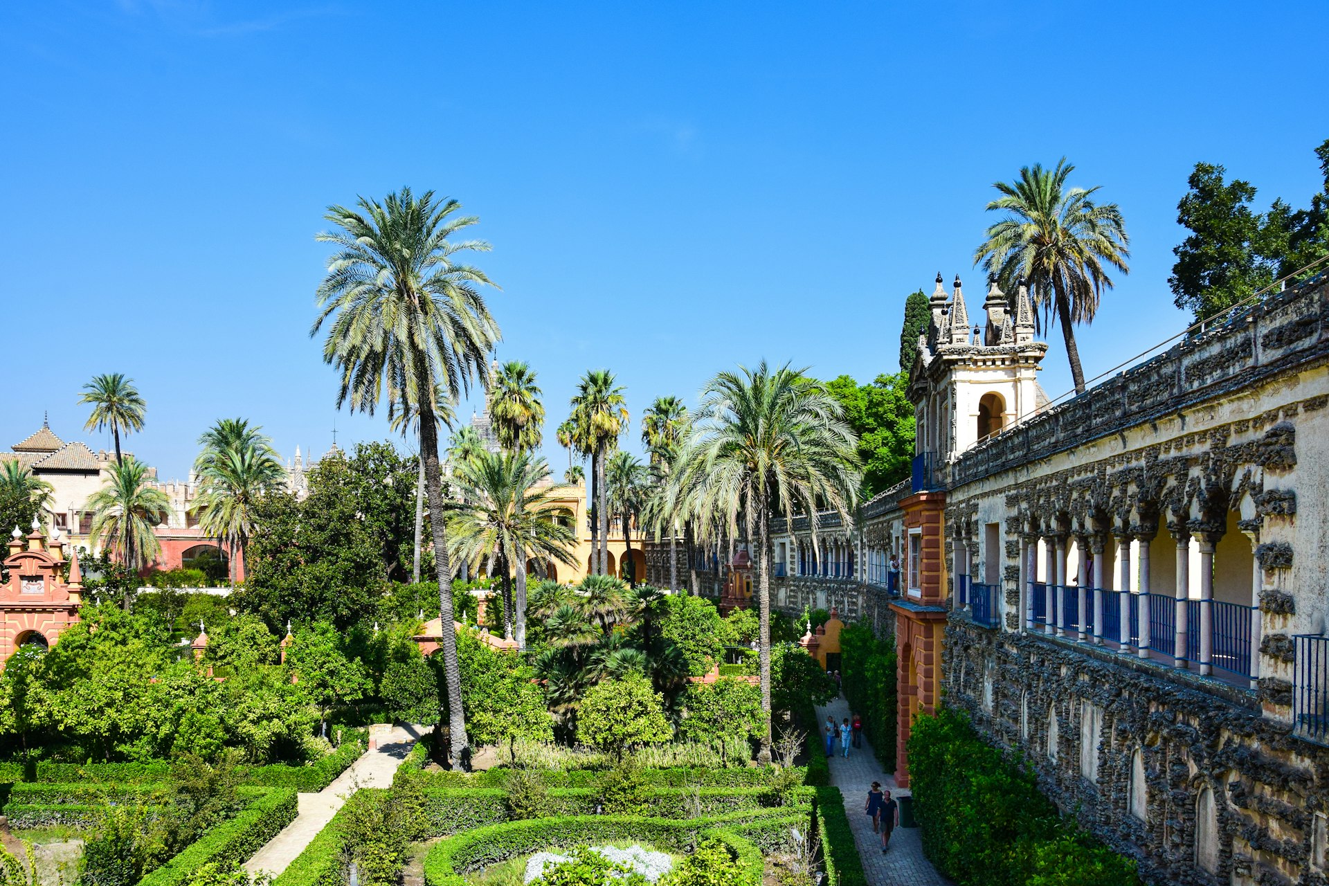 a garden with trees and bushes