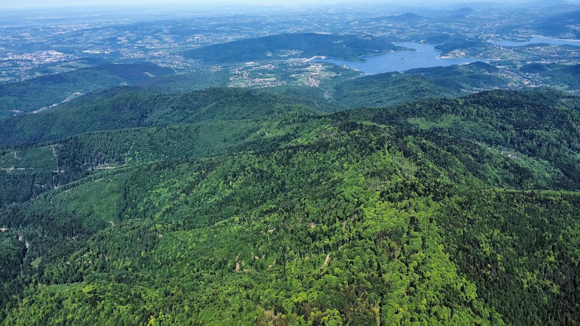 Green forest-covered mountains under a cloudy sky.
