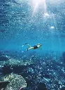 unsplash_3wb4KYqGXLU_ scuba diving.webp