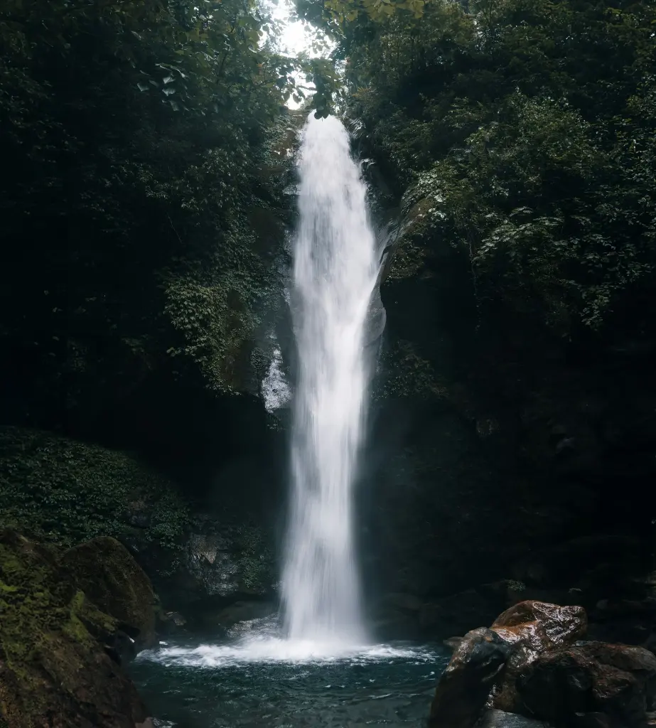 unsplash_hgQM_c6Q3ss_Pelling .webp