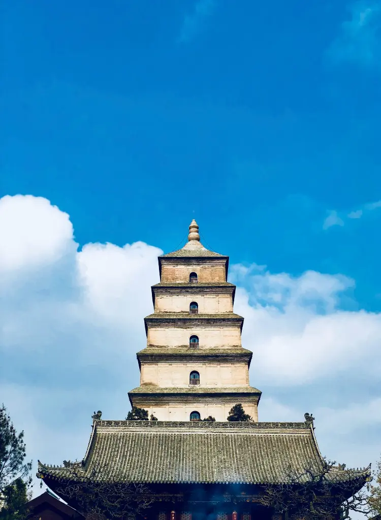 unsplash_JhUuWCPgw88_BEIJING.webp.jpg.jpg.jpg.jpg.jpg.jpg.jpg