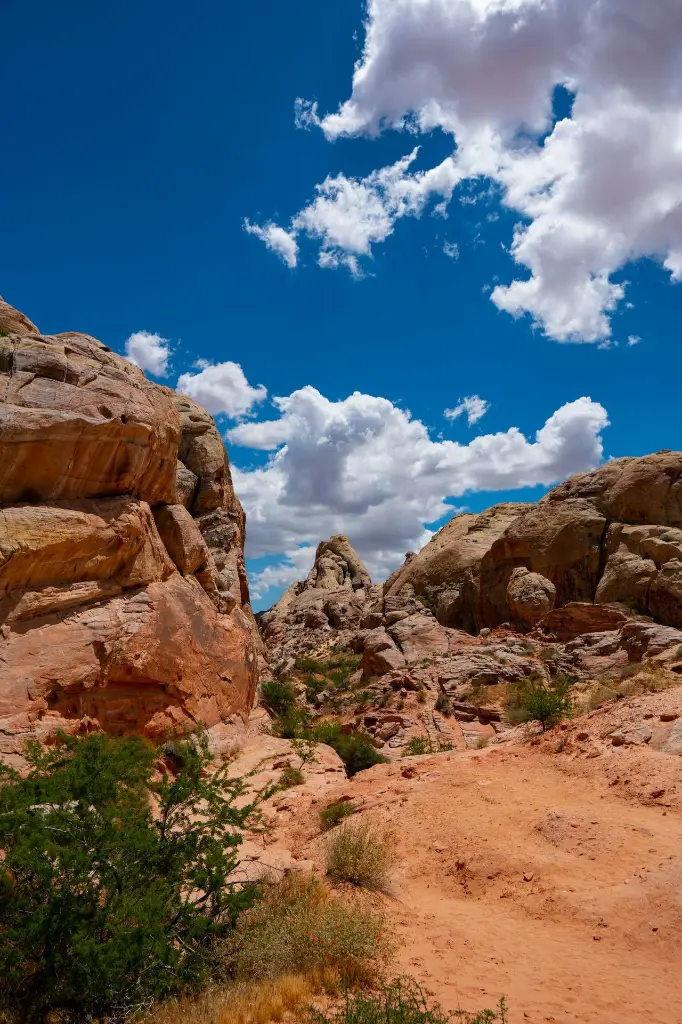 unsplash_OqgKx0HF2Ww_Las Vegas.webp.jpg.jpg.jpg.jpg.jpg.jpg.jpg.jpg