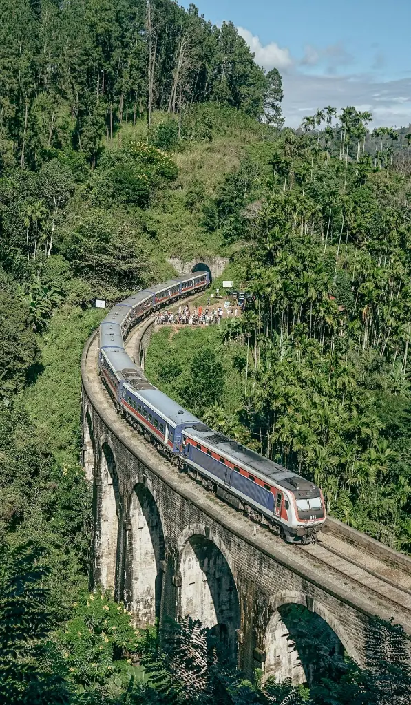 unsplash_gE1qG4s8DKY_rail bridge forest.webp