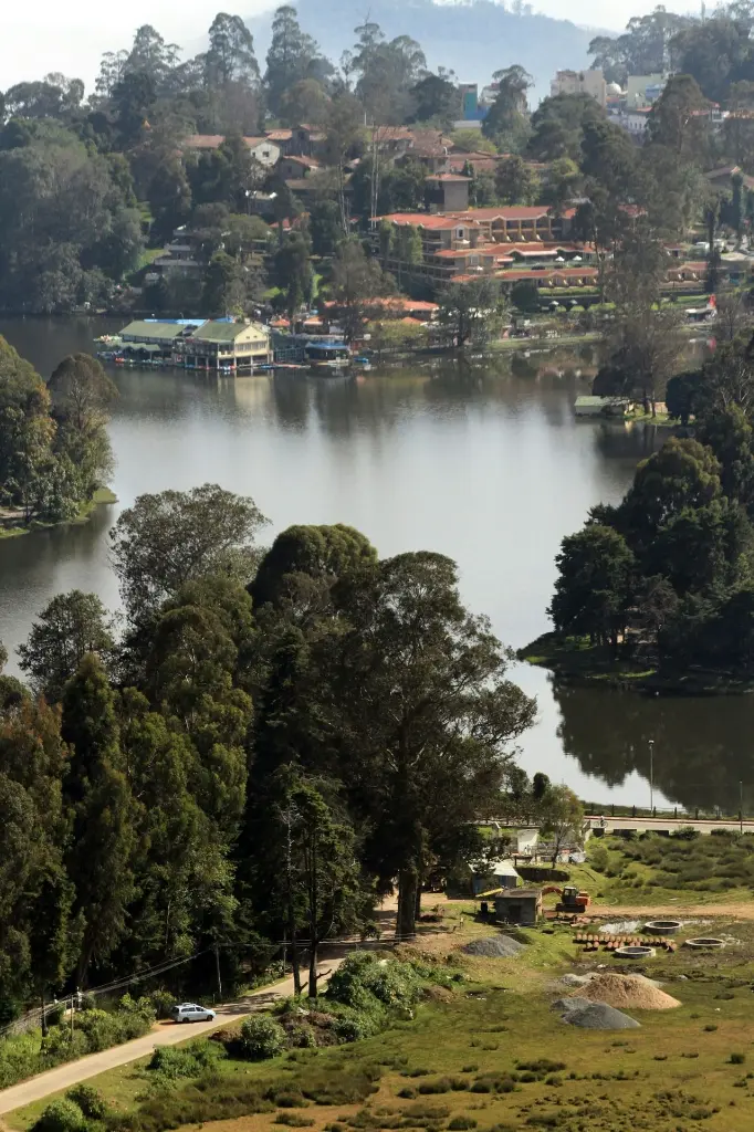 unsplash_dCTlo6ayPeA_Kodaikanal .webp