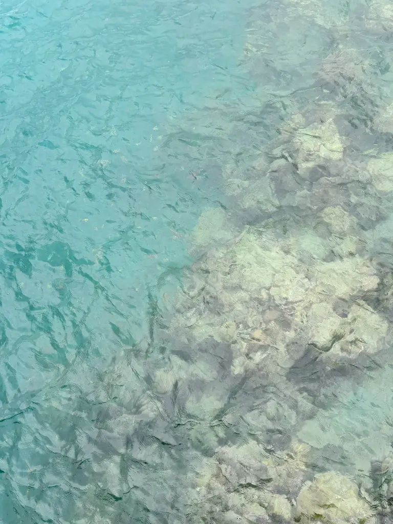 unsplash_-x4oQbcUAxA_Havelock Island.webp