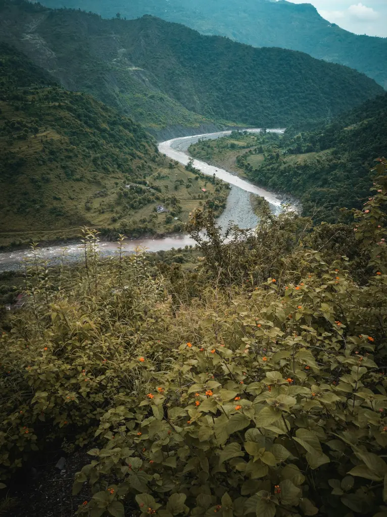 unsplash_WAMhGiHS6bA_Arunachal Pradesh.webp.jpg.jpg.jpg