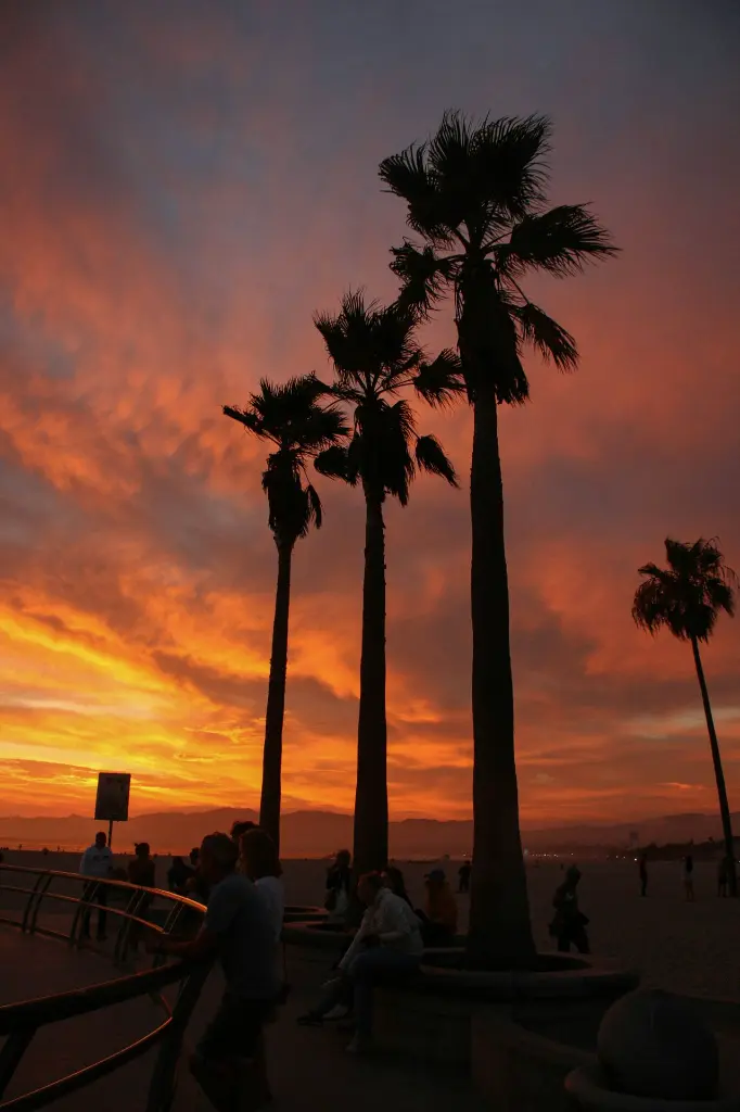 unsplash_fjhlncv_34I_Los Angles.webp.jpg.jpg.jpg