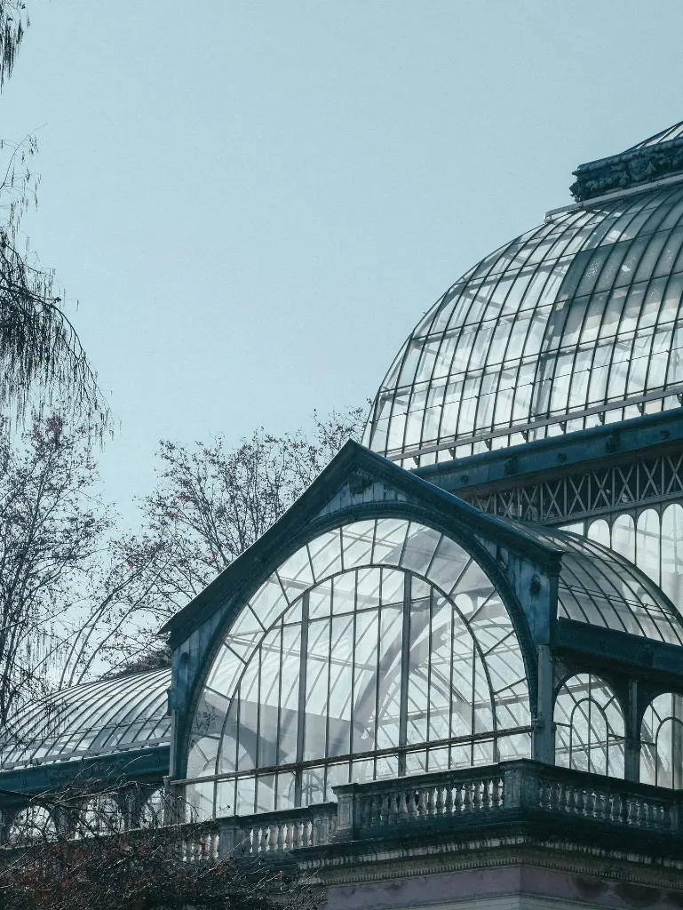 unsplash_guLkKMvKw1k_Paseo Del Prado.webp.jpg.jpg