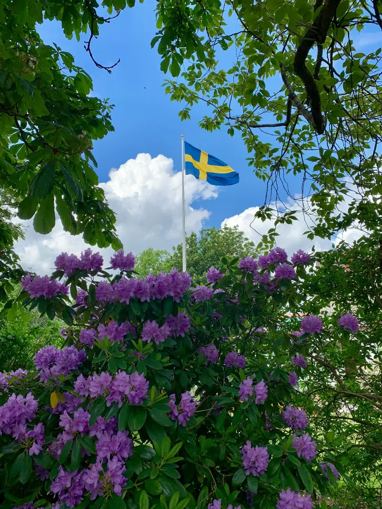 unsplash_ghn1Ozzvfsc_SWEDEN.webp.jpg.jpg.jpg.jpg.jpg.jpg