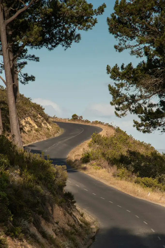 unsplash_0yie-iXGJqQ_South Africa.webp.jpg.jpg