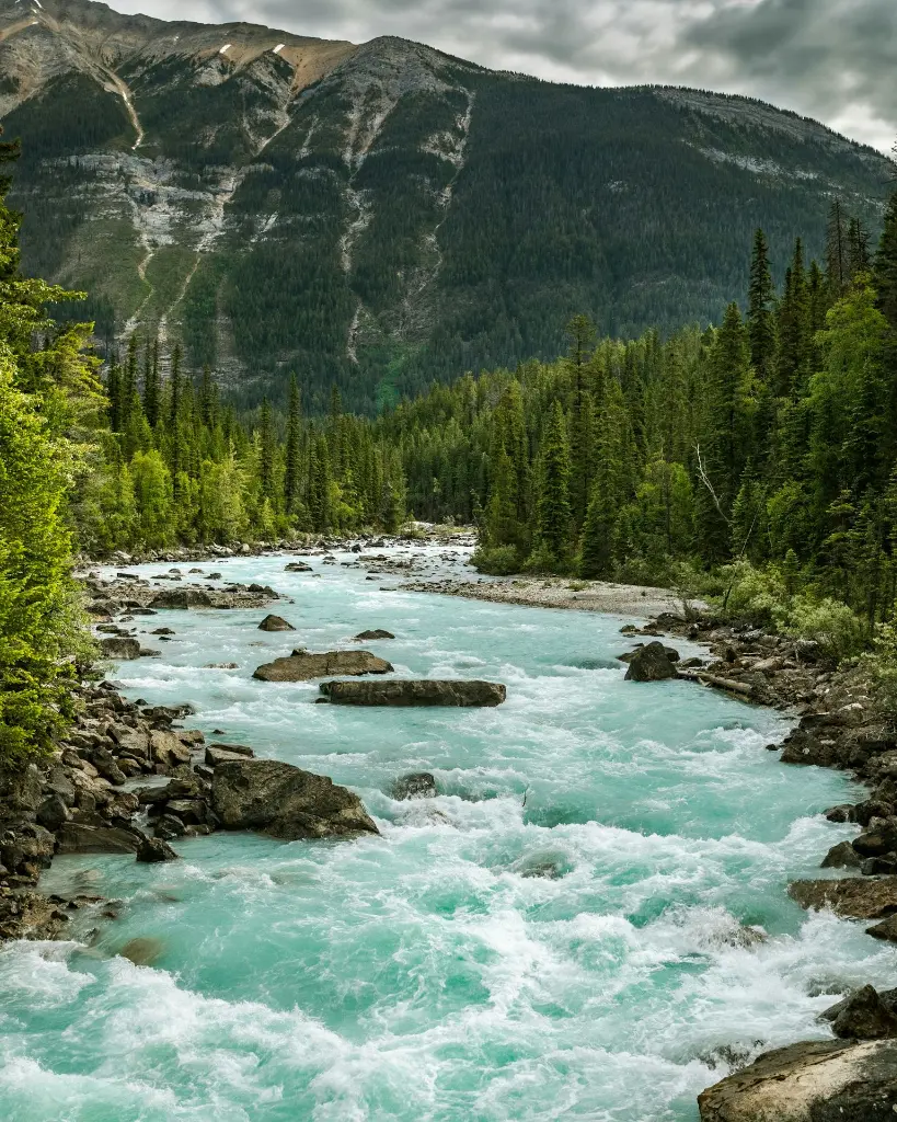 unsplash_YbbRa8ROM6c_Canada.webp.jpg.jpg.jpg.jpg.jpg.jpg.jpg.jpg
