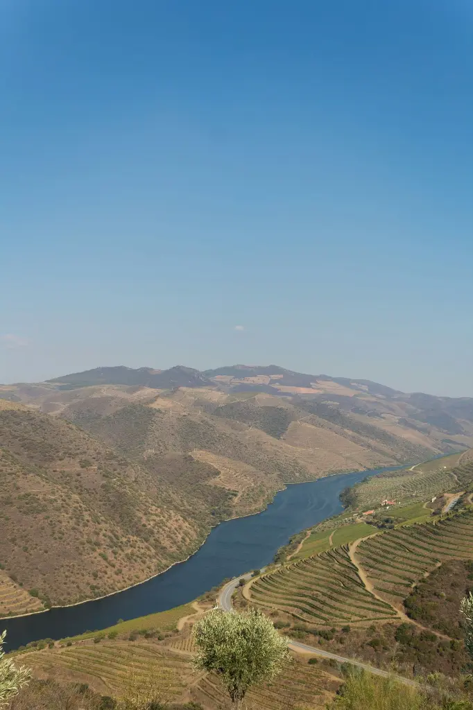 unsplash_ft_jpGKmJY0_towns of Sintra.webp.jpg