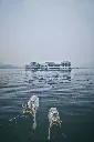 unsplash_R0SGvzjhIcM_Udaipur.webp.jpg