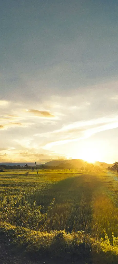 unsplash_i1bTpNdW9Zw_Bhubaneswar .webp.jpg