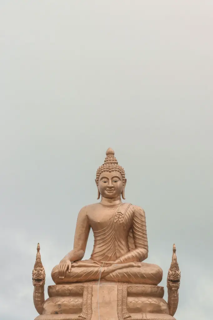 unsplash_hbw347cxcZc_Coral Island.webp.jpg